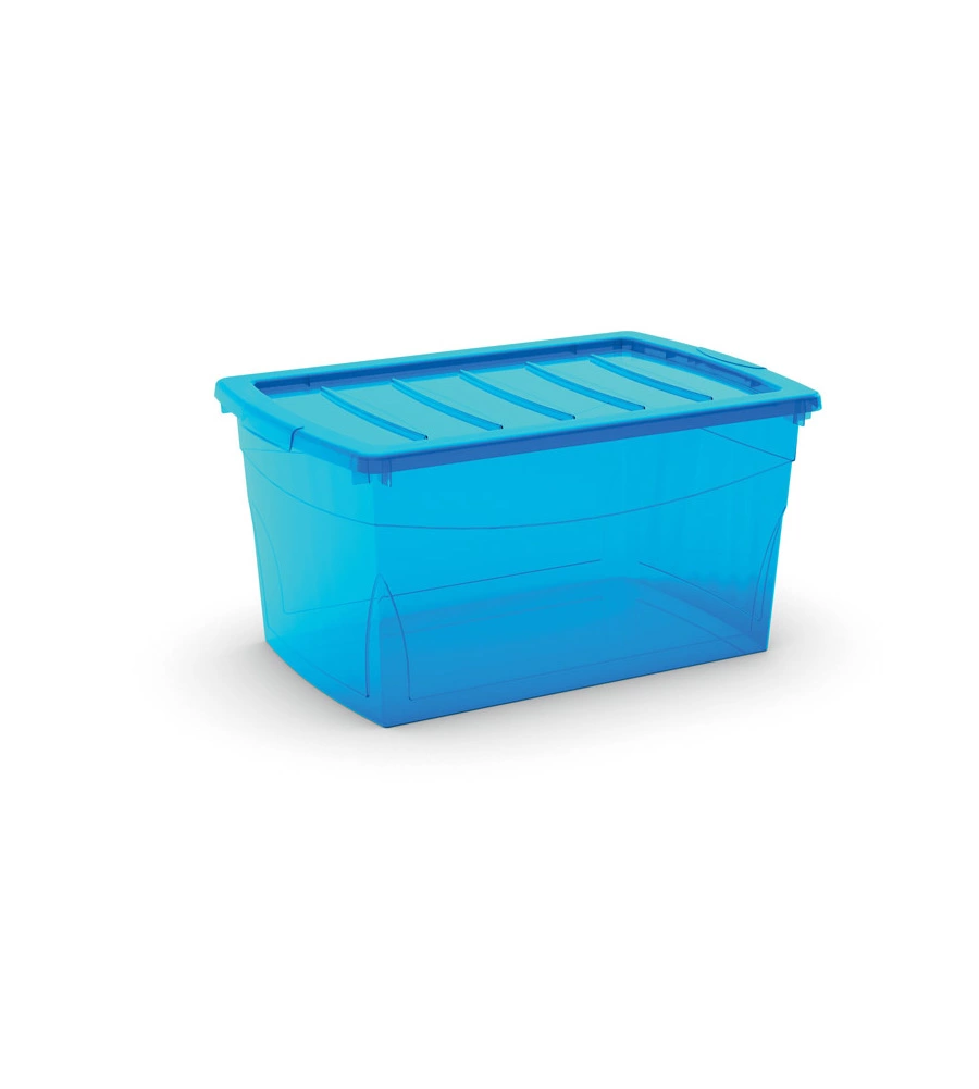 CONTENITORE OMNIBOX L AZZURRO
